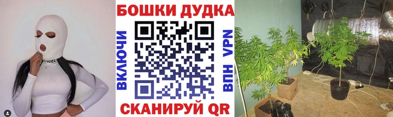 нарко площадка клад  Минусинск  OMG как зайти  Конопля THC 21%  даркнет сайт 
